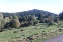 Vue depuis Muckenbach